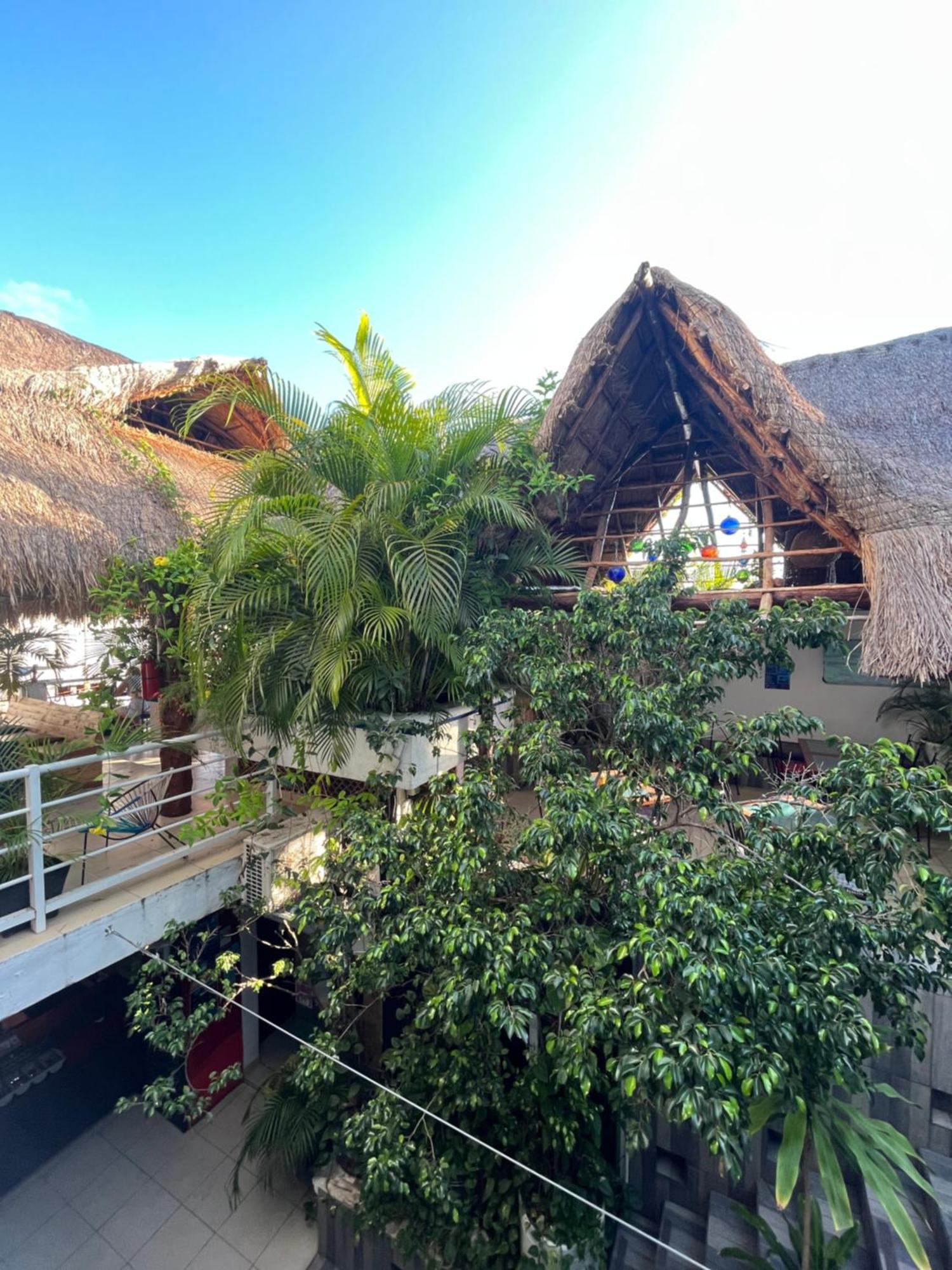 Hostelito Hotel Κοζουμέλ Εξωτερικό φωτογραφία